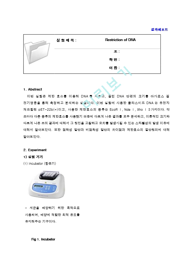 제한효소를 이용한 Restriction of DNA 결과레포트 [A＋].hwp